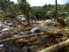 St Vincent Assessment