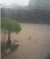 Barbados Assessment