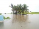 Barbados Assessment