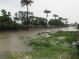 Barbados Assessment