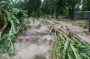 Haiti Assessment