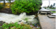 Guyana Assessment