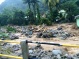 Dominica Assessment