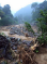Dominica Assessment