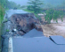 Dominica Assessment