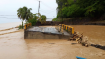 Dominica Assessment