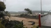 Dominica Assessment