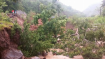 Dominica Assessment