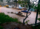 Dominica Assessment