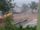Dominica Assessment
