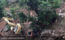 Dominica Assessment