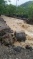 Dominica Assessment