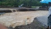 Dominica Assessment