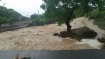 Dominica Assessment
