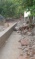 Dominica Assessment