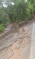 Dominica Assessment