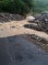 Dominica Assessment