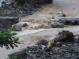 Dominica Assessment
