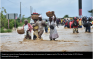 Haiti Assessment