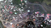 Dominica Assessment